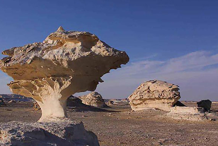 Egypt Oasis Natural Shaped Rock_279ba_lg.jpg